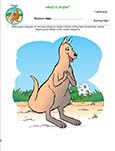 Kangaroos Unit Activity Pages