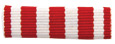 Continuous Learning National Award Ribbon