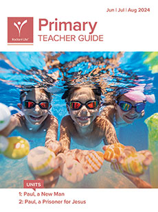 Primary Teacher Guide Summer