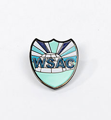 Junior Leadership Training WSAC Pin